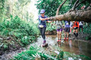 BIB: 
                            <button type="button" onclick="openModal(25478840)" class="btn btn-primary btn-sm float-right btn-popup" data-toggle="modal" data-target=".modal-high-quality">
                        <i class="fas fa-shopping-cart"></i> Add to Cart
                    </button>
                                            <button type="button" onclick="isThisMe(25478840, true)" class="btn btn-success btn-sm float-right btn-popup btn-isme hidden" data-toggle="tooltip" data-placement="bottom" title="นี่คือรูปของคุณใช่ไหม คลิกที่นี่เพื่อเอาเข้าอัลบั้ม">
                        <i class="fas fa-plus"></i> Add to album
                    </button>
                    <button type="button" onclick="isThisMe(25478840, false)" class="btn btn-warning btn-sm float-right btn-popup btn-isnotme hidden">
                        <i class="fas fa-ban"></i> Remove from album
                    </button>